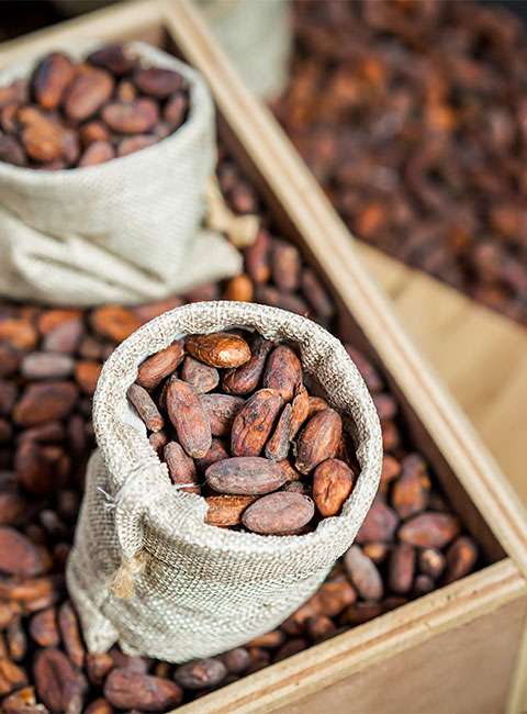 beurre-de-cacao