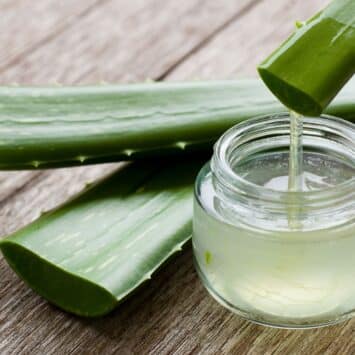 Aloe Vera, hydrate, apaise et aide à cicatriser les imperfections