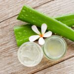 Aloe Vera : L'actif miracle de la cosmétique bio