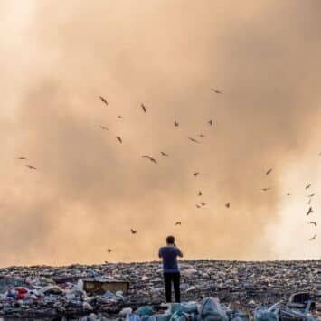 Causes externes : hygiène et environnement