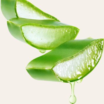 Aloe Vera, un effet anti-âge pour lisser et raffermir la peau