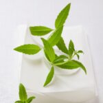Verveine bienfaits