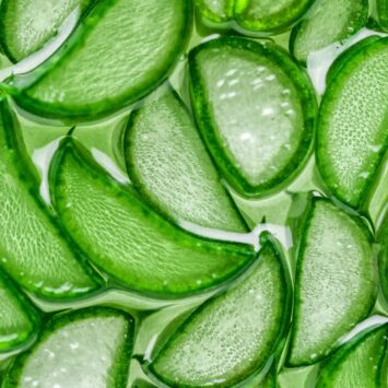 Aloe vera