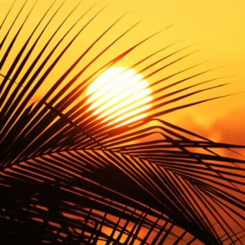 Soleil, chaleur, transpiration : des agressions invisibles