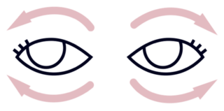 Picto conseil geste velours