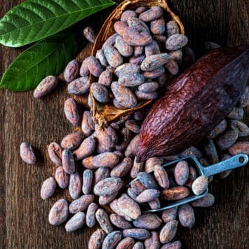 Beurre de cacao : visage ou corps ?